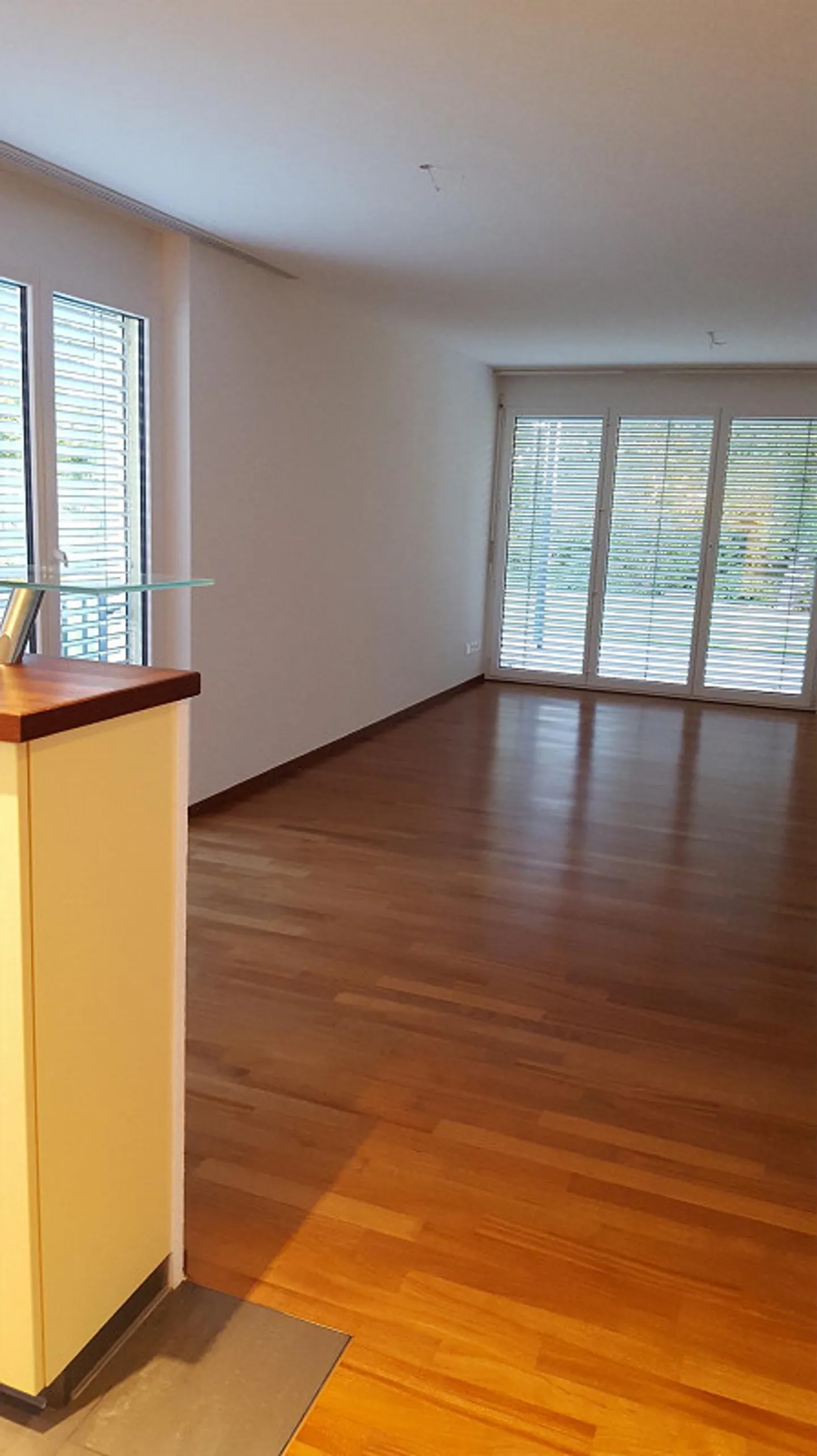 Appartement spacieux de 4½ pièces au rez-de-chaussée avec finition de haute qualité - Photo 4 sur 15
