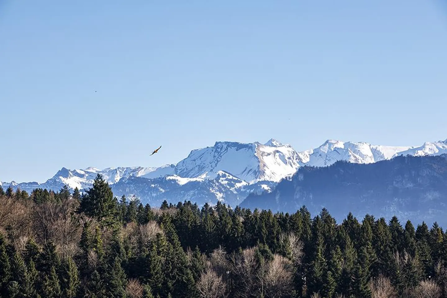 Appartement en duplex spacieux de 4,5 pièces avec vue sur le lac et panoramique - Photo 10 sur 20