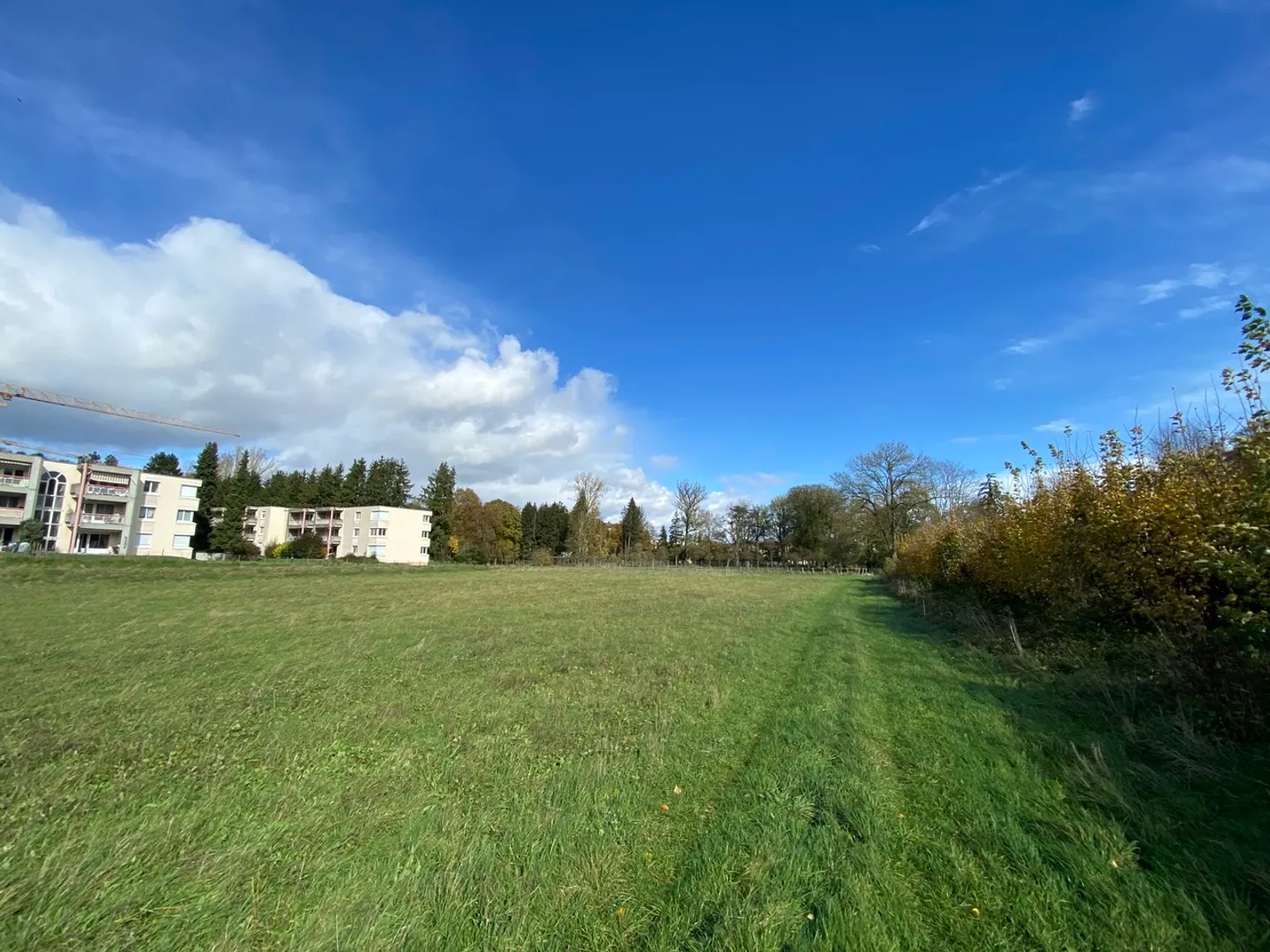 Grundstück von 2'709 m2 mit perfekter Ausrichtung - Foto 3 von 4