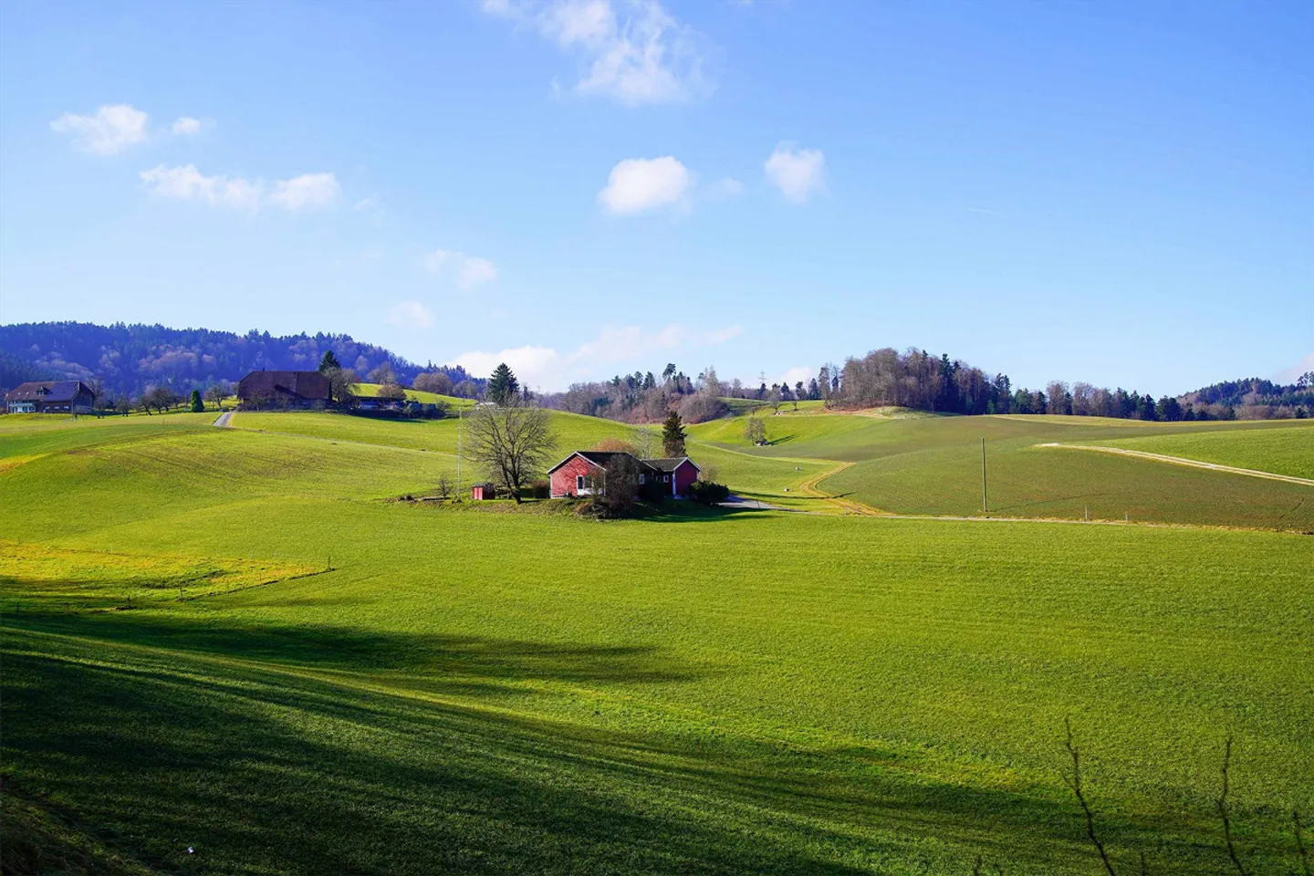 Une touche de Suède à Melchnau – Oasis dans le vert avec vue et tranquillité - Photo 2 sur 14