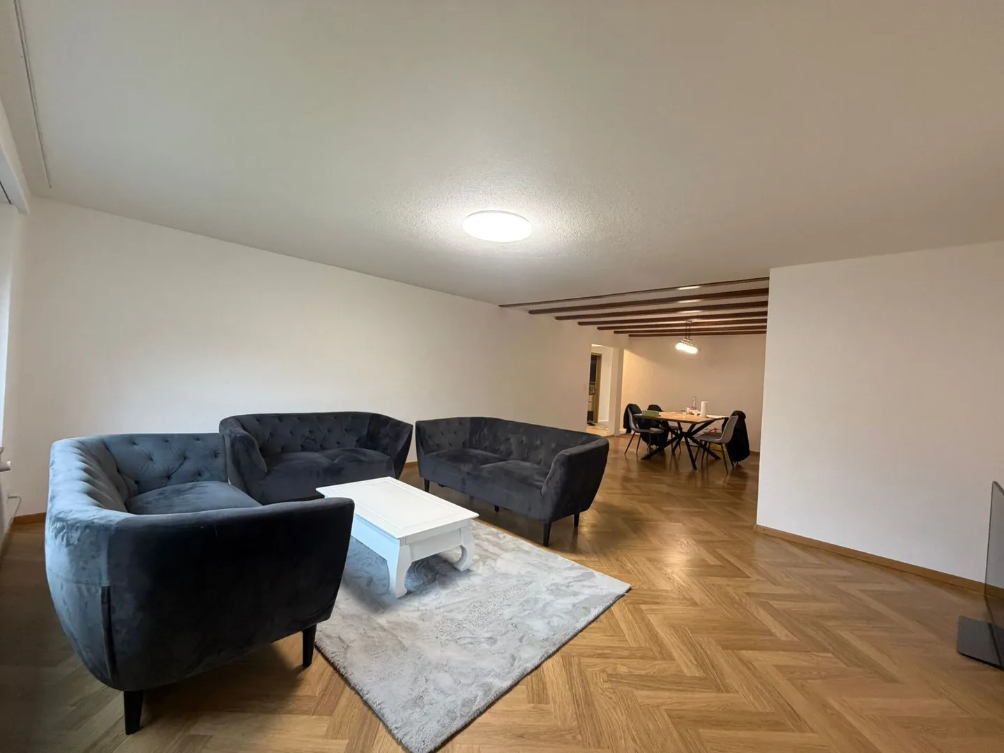 Luminoso appartamento al piano terra di 4½ locali con 137 m² e area salotto coperta - Foto 3 di 16