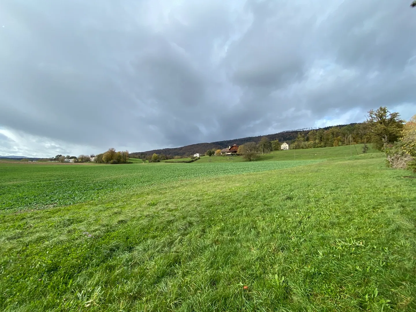Terrain de 1'966 m2 idéalement situé dans un quartier résidentiel  - Photo 1 sur 6