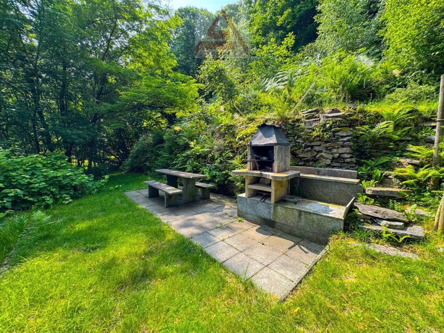 Maison immergée dans la verdure - Photo 4 sur 7