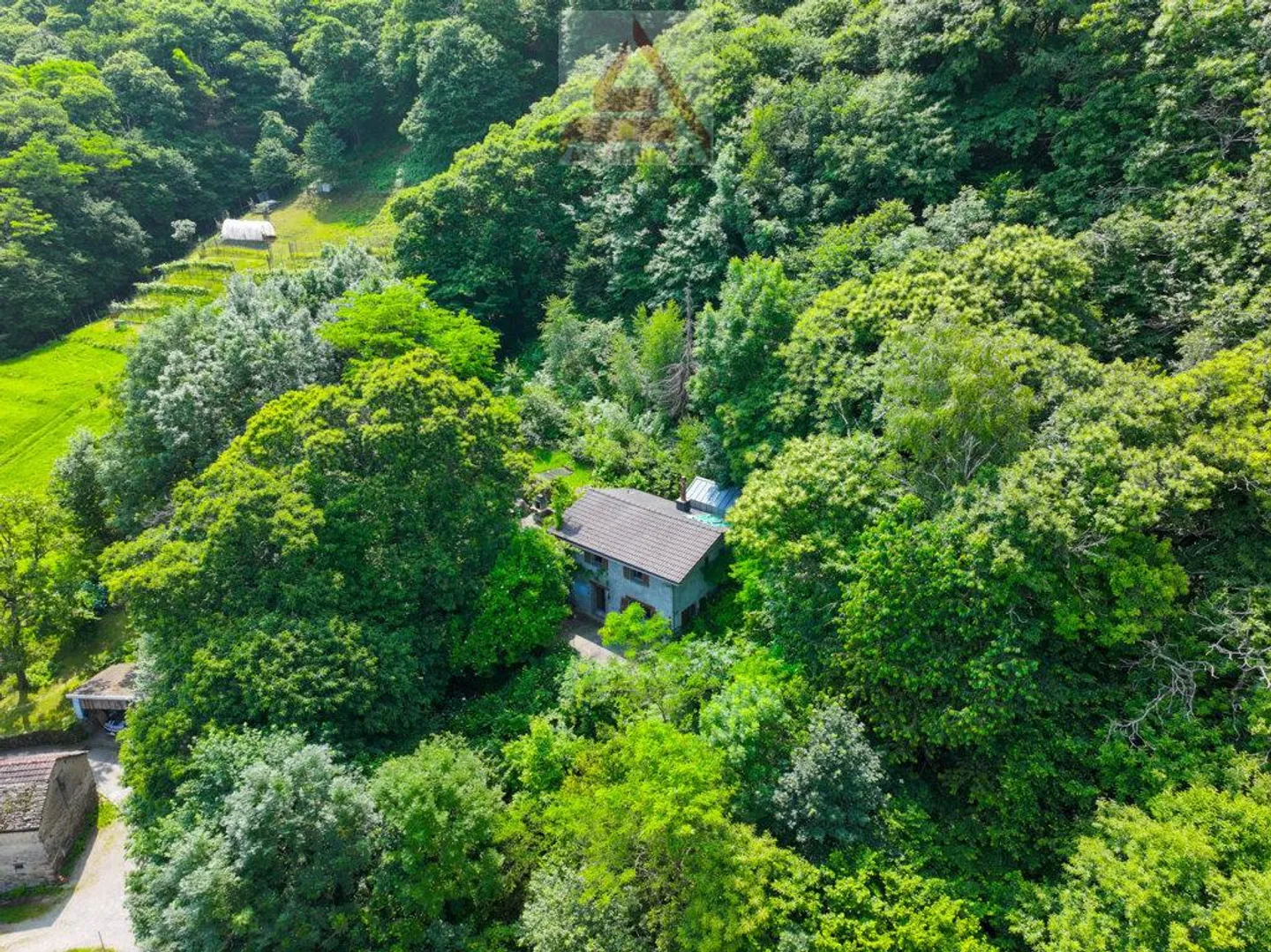 Maison immergée dans la verdure - Photo 7 sur 7
