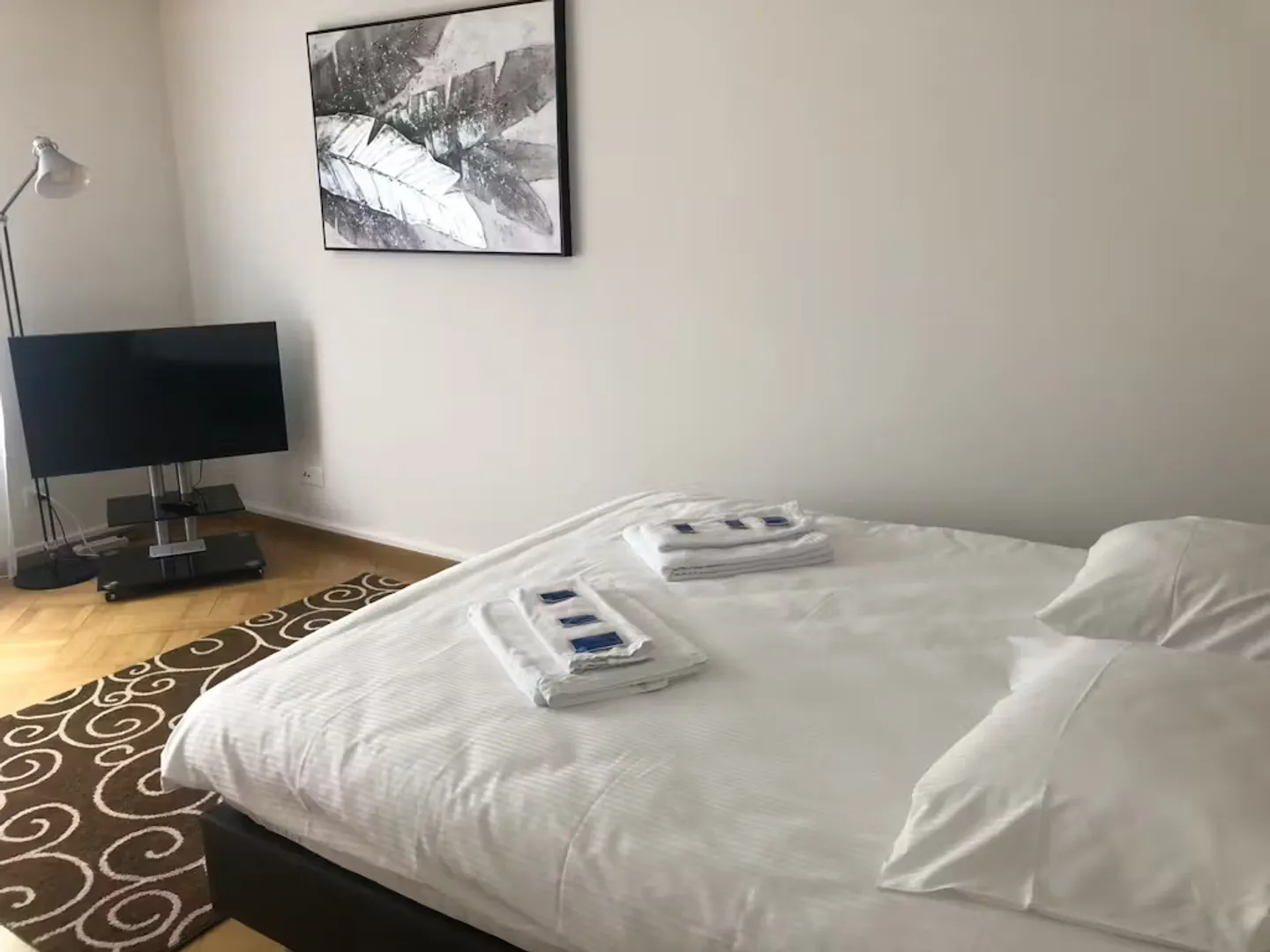 Charming Apartment in Zürich - Photo 2 of 6