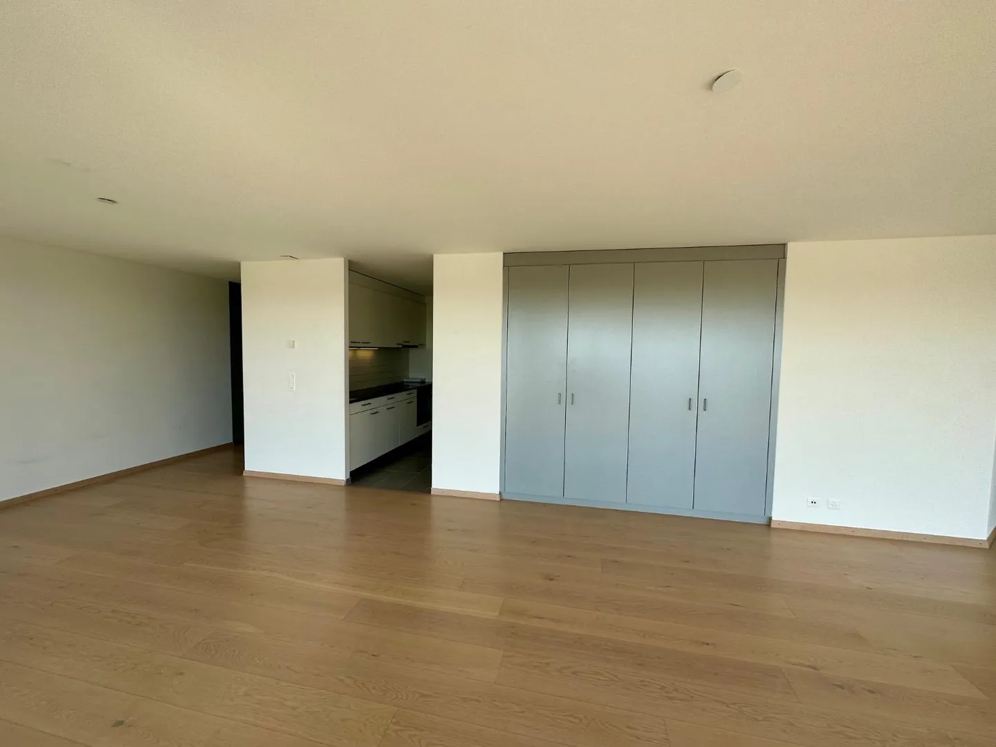 Appartamento 4.5 stanze - Foto 3 di 12