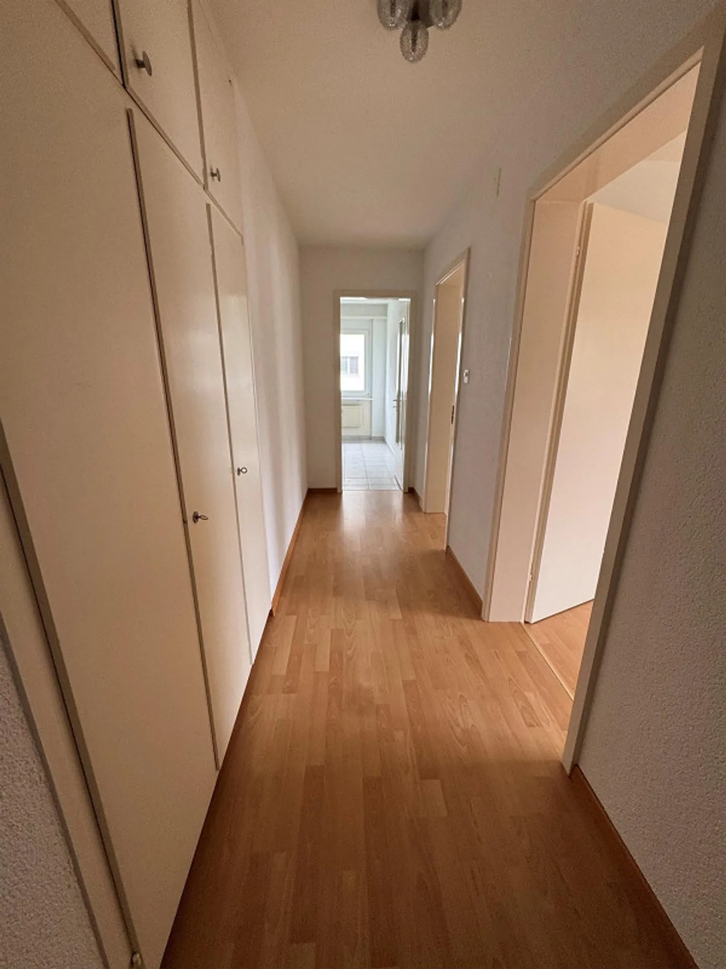 Appartamento 2 locali con balcone a Wetzikon-Kempten - Foto 6 di 8