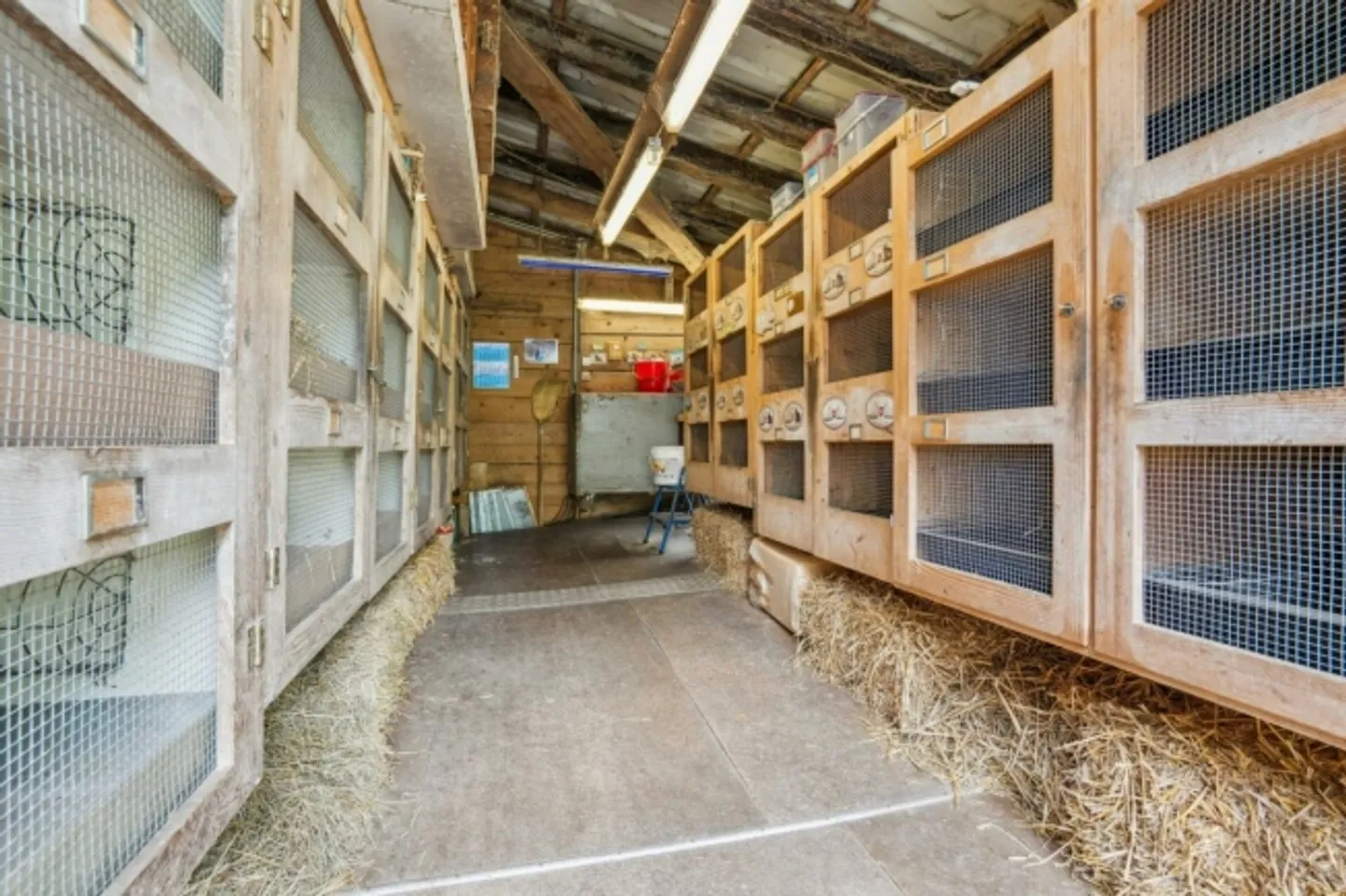 Fattoria in vendita - Foto 11 di 16