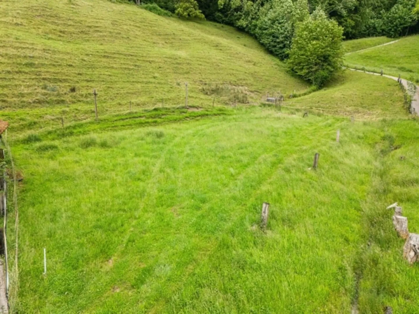 Fattoria in vendita - Foto 15 di 16