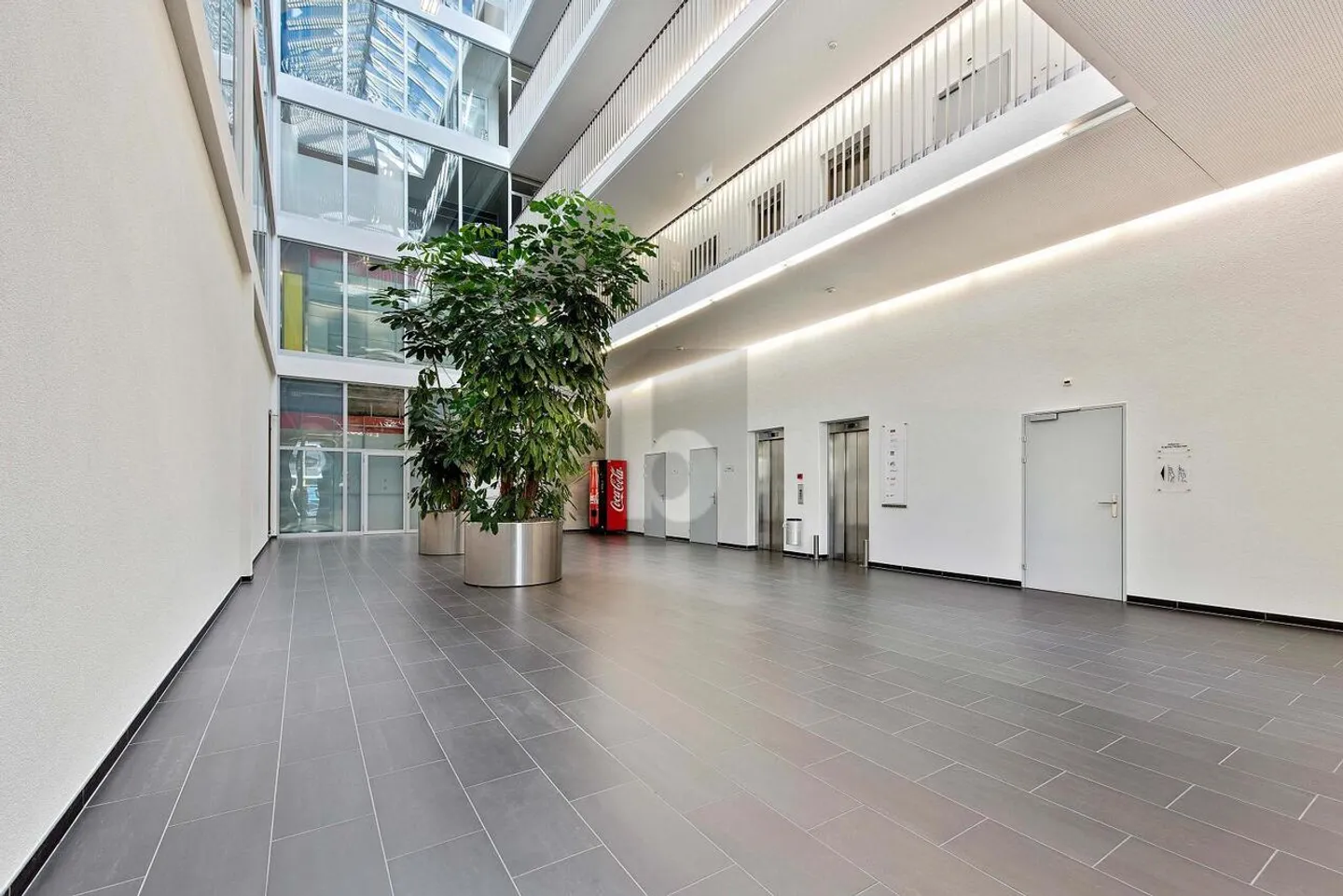 GRANDE HALL DI PRODUZIONE IDEALE PER LA TUA AZIENDA - Foto 3 di 5