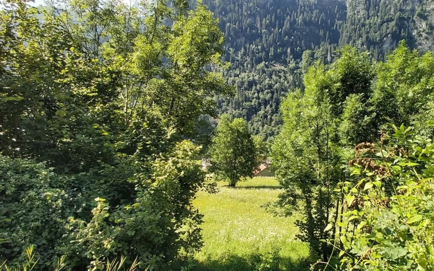 Baulandgrundstück mit Projekt - Foto 1 von 6