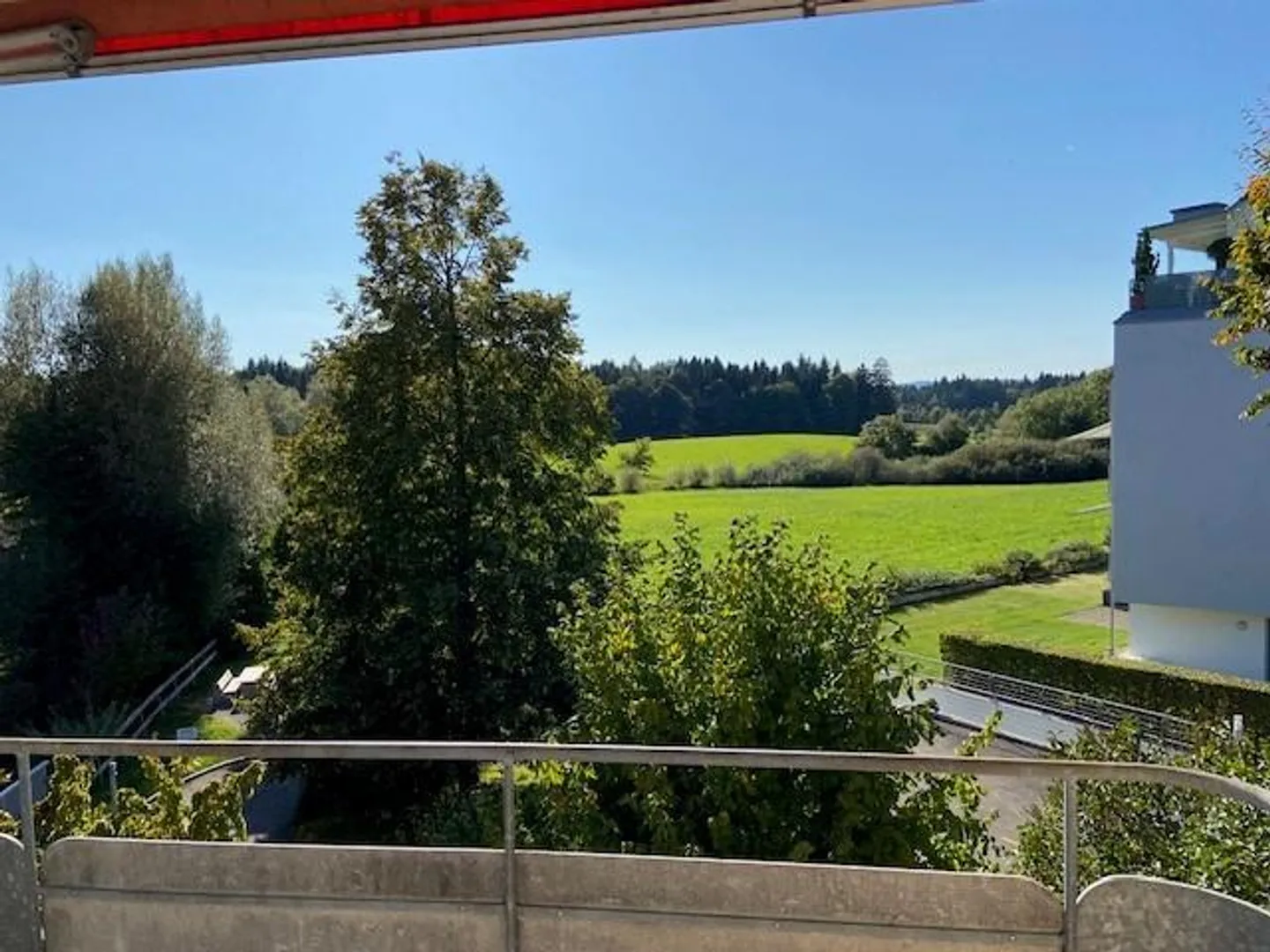 5.5 Room Apartment in Hinwil - Photo 6 of 7