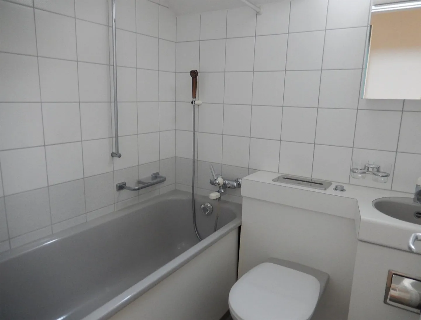 Cozy Single Apartment - Photo 4 of 6