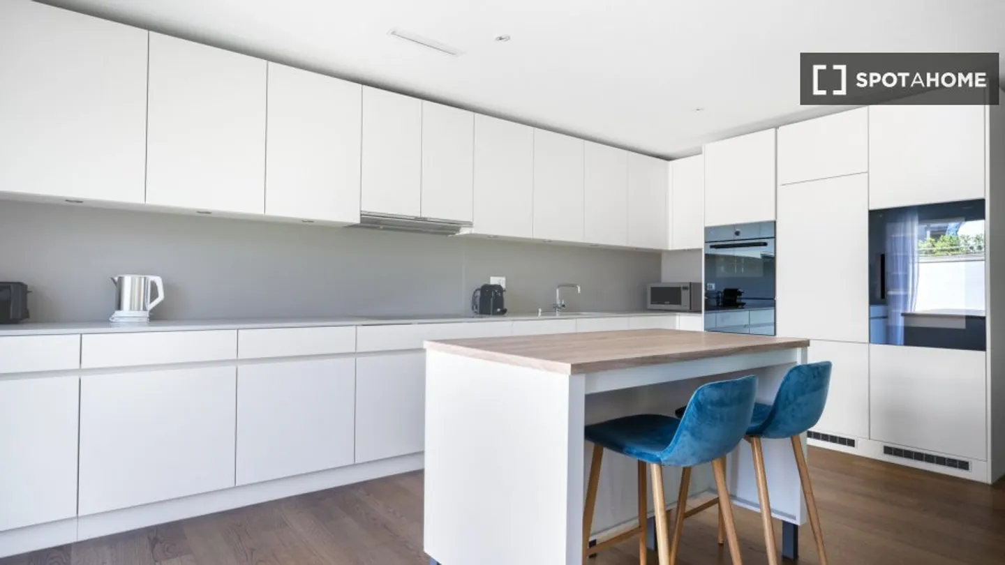 Modern Apartment in Zurich - Photo 6 of 17