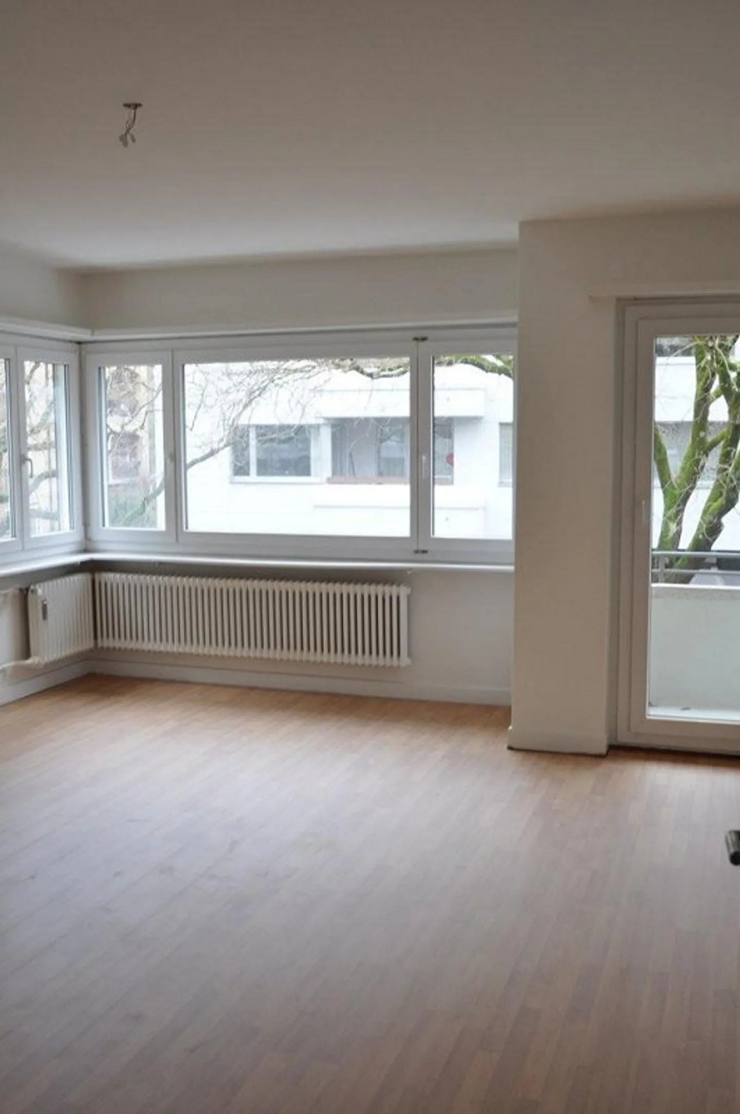 In the heart of Baden - Photo 2 of 4