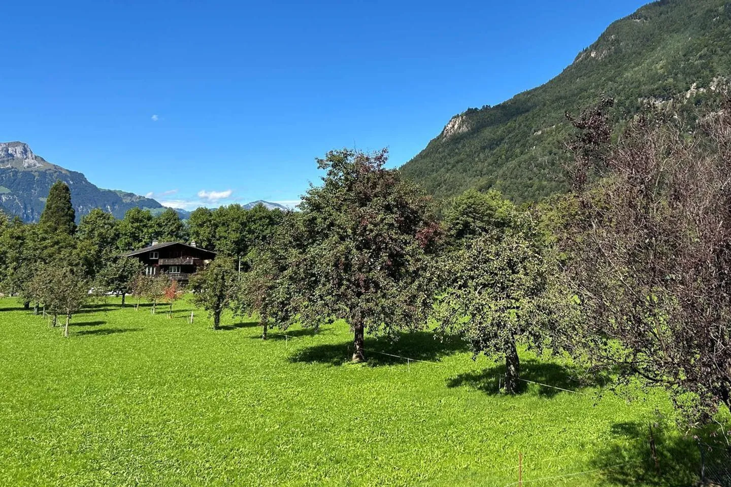 6.5 Room apartment - Photo 5 of 13