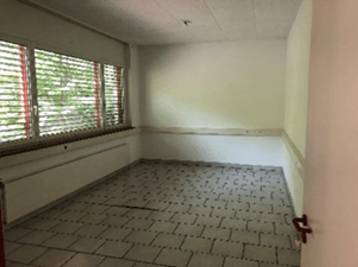 Commercio - Foto 6 di 8