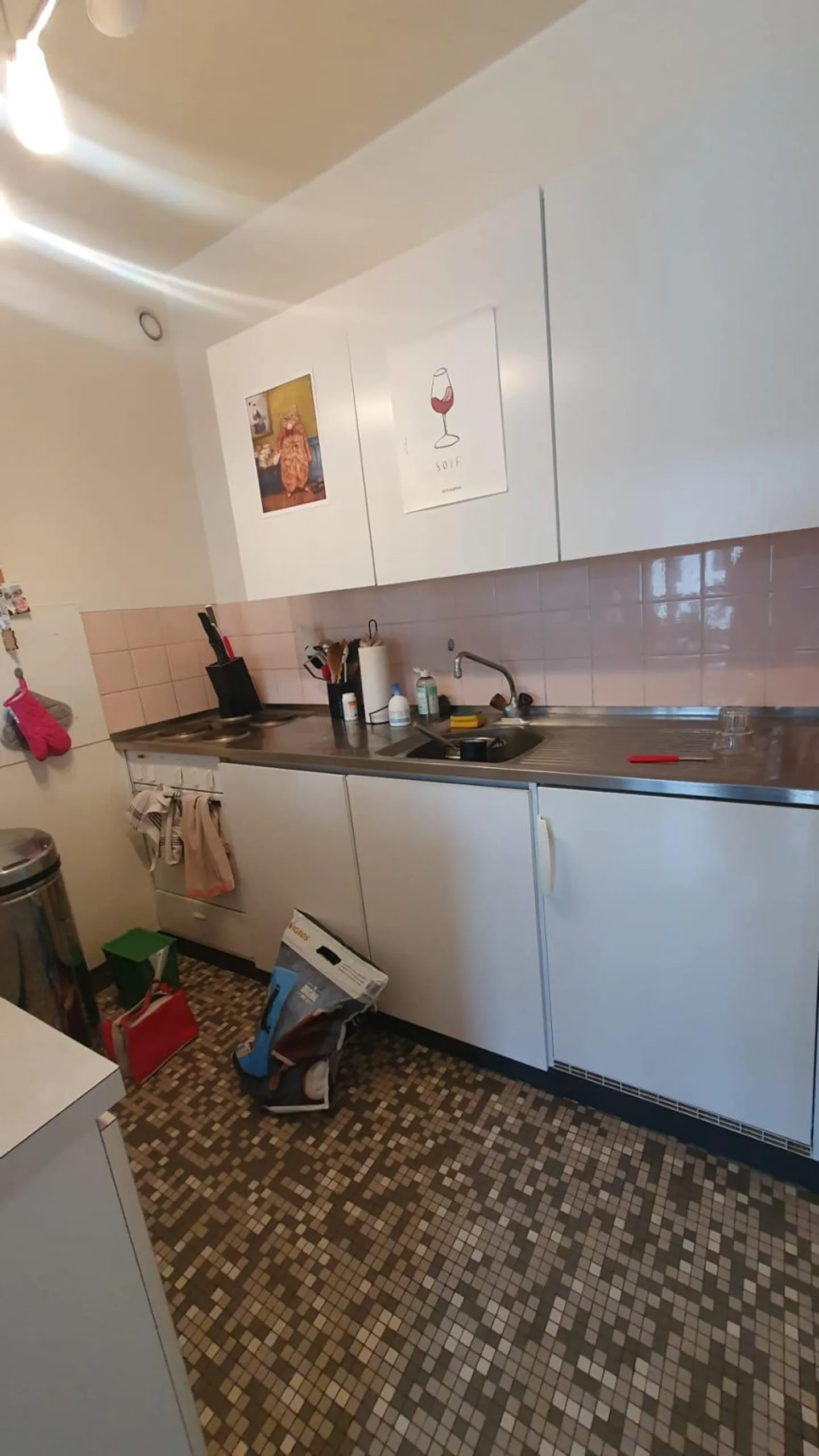 2.5-room apartment in the heart of Plainpalais - Photo 2 of 5