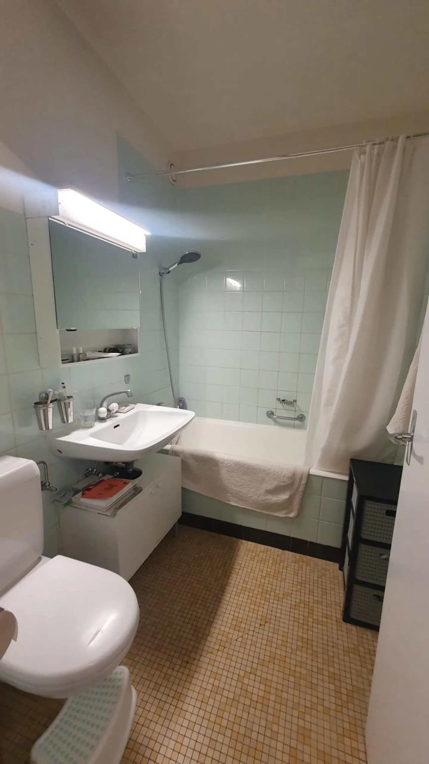 2.5-room apartment in the heart of Plainpalais - Photo 4 of 5