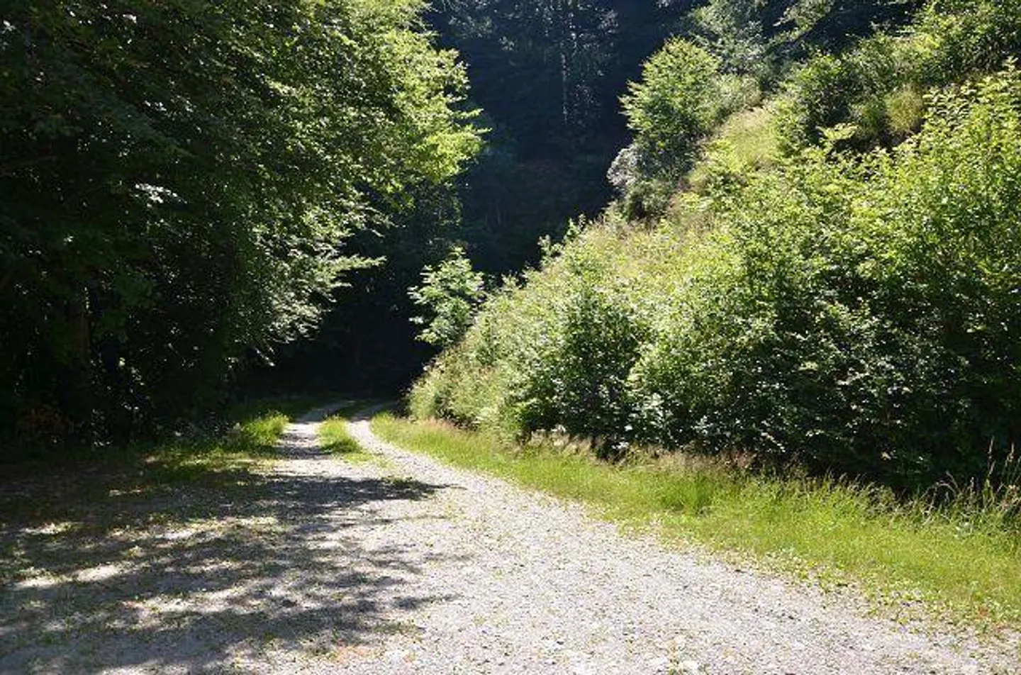 Incantevole Rustico di Montagna con Giardino - Foto 33 di 39