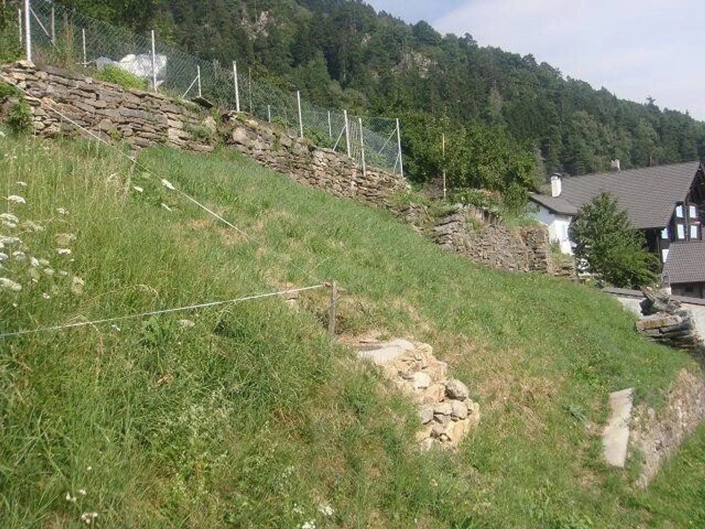 Sunny Building Plot in Anzonico - Photo 2 of 13