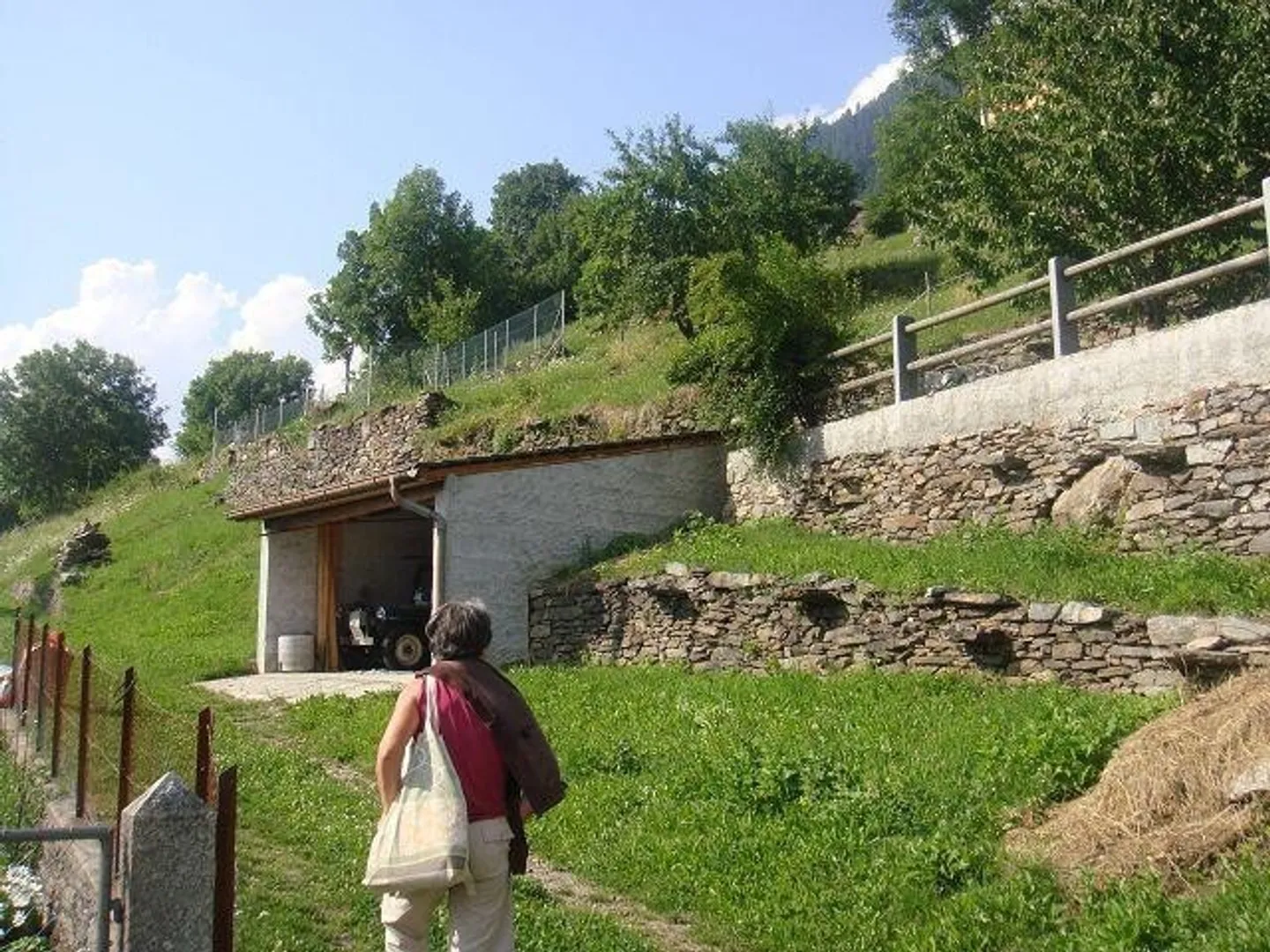 Sunny Building Plot in Anzonico - Photo 3 of 13