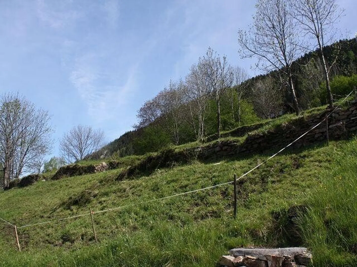 Sunny Building Plot in Anzonico - Photo 12 of 13