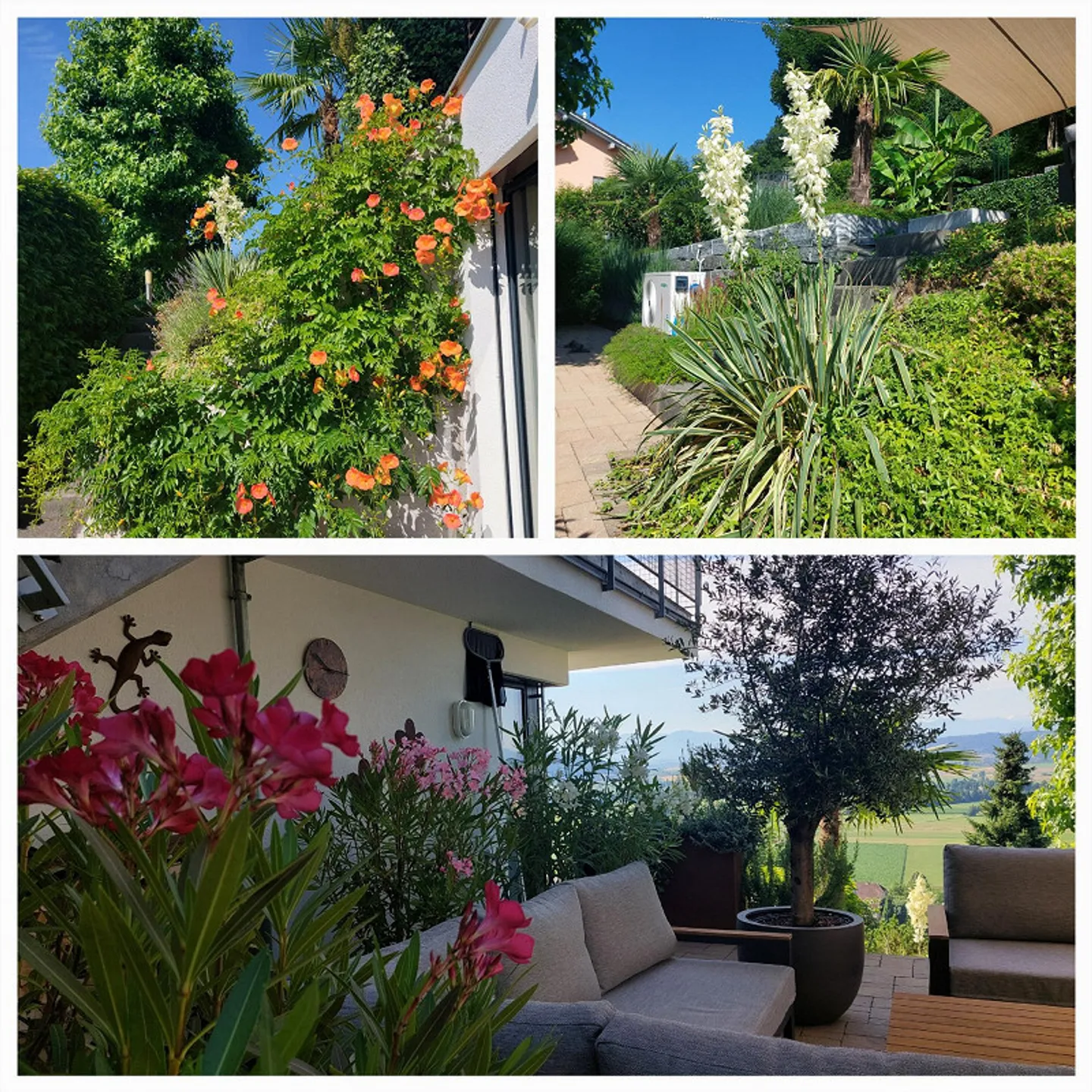 Charmantes Einfamilienhaus mit Bergsicht - Foto 7 von 10