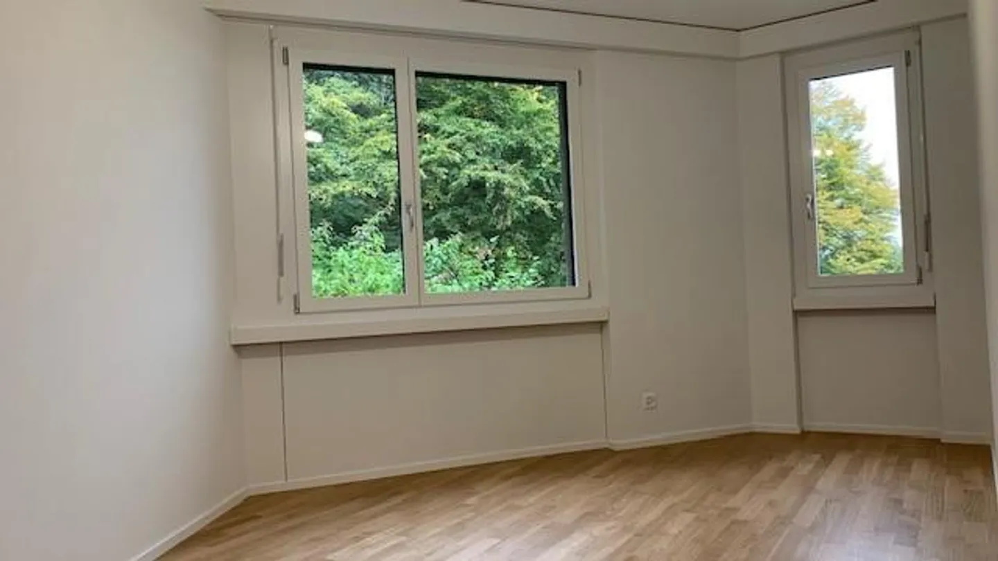 moderno ristrutturato con vista su Lucerna - Foto 17 di 21