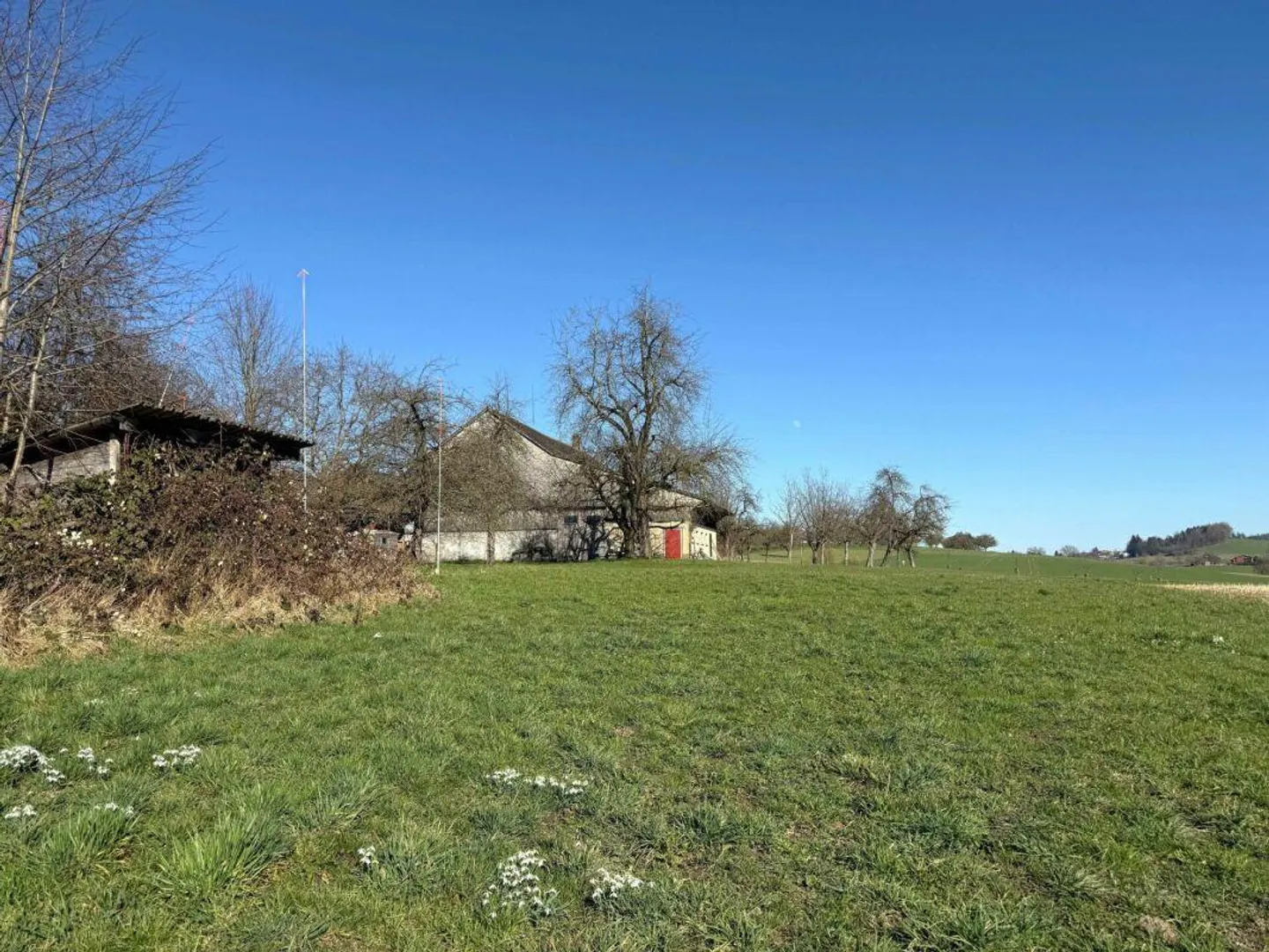 New construction project "Grünblick Buch" - Modern living in an idyllic location - Photo 4 of 5