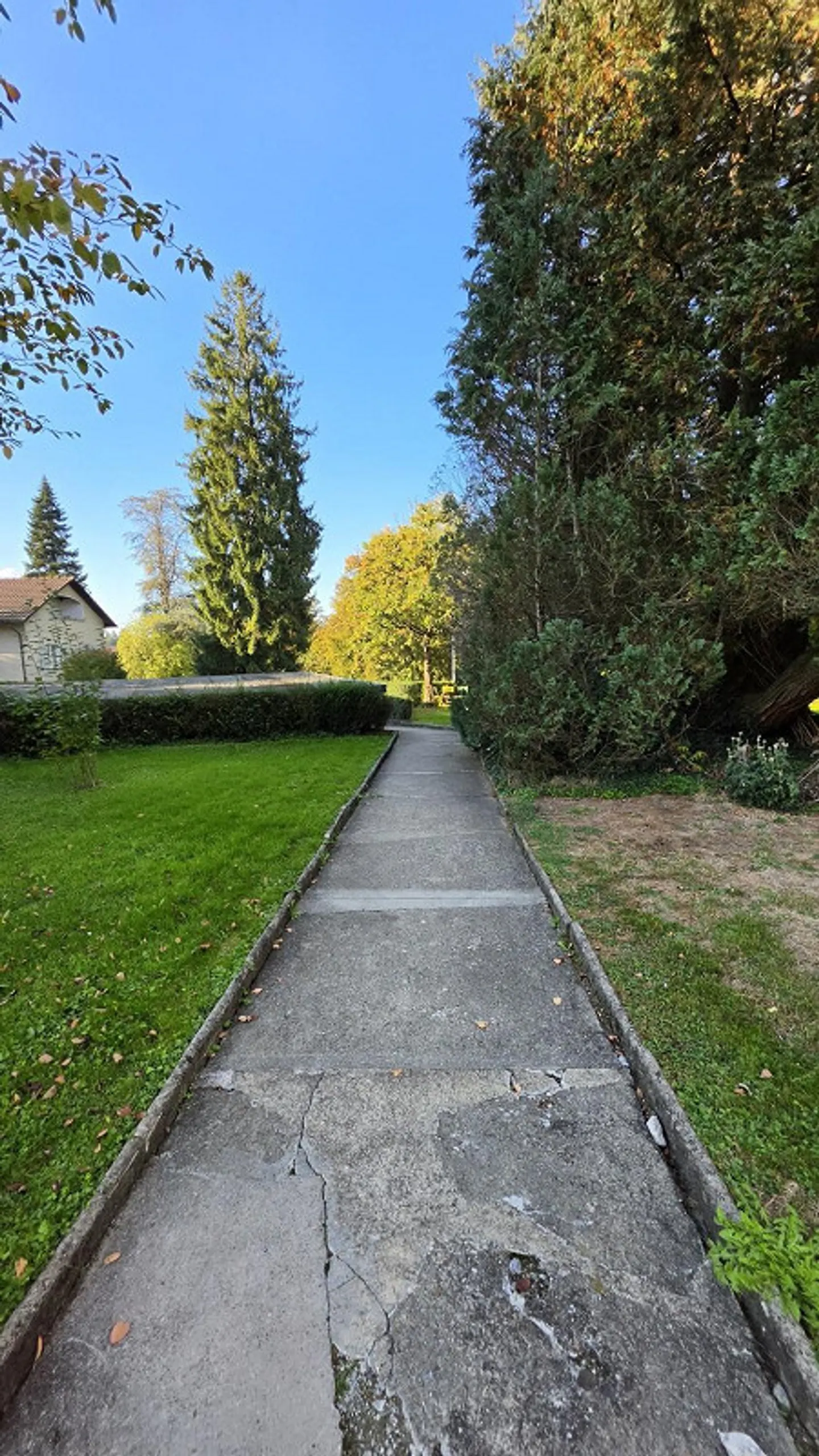 finely renovated, very quiet, garden seating area, preferred neighborhood - Photo 1 of 13