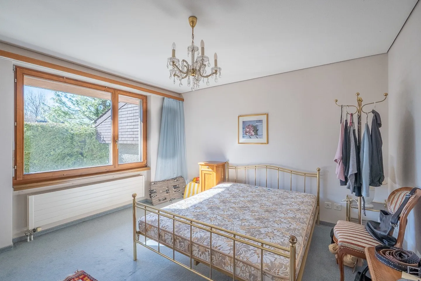 Charming single-family home with good sunlight and plenty of privacy - Photo 8 of 10