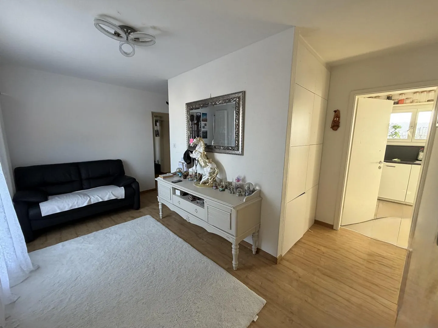 Ampio appartamento di 3,5 stanze a Dietikon - Foto 3 di 9