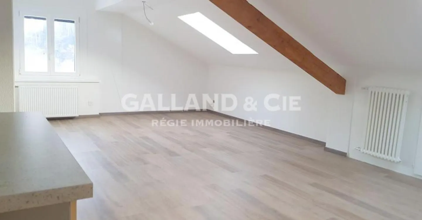 Unique Attic Apartment in Hermenches - Photo 3 of 9