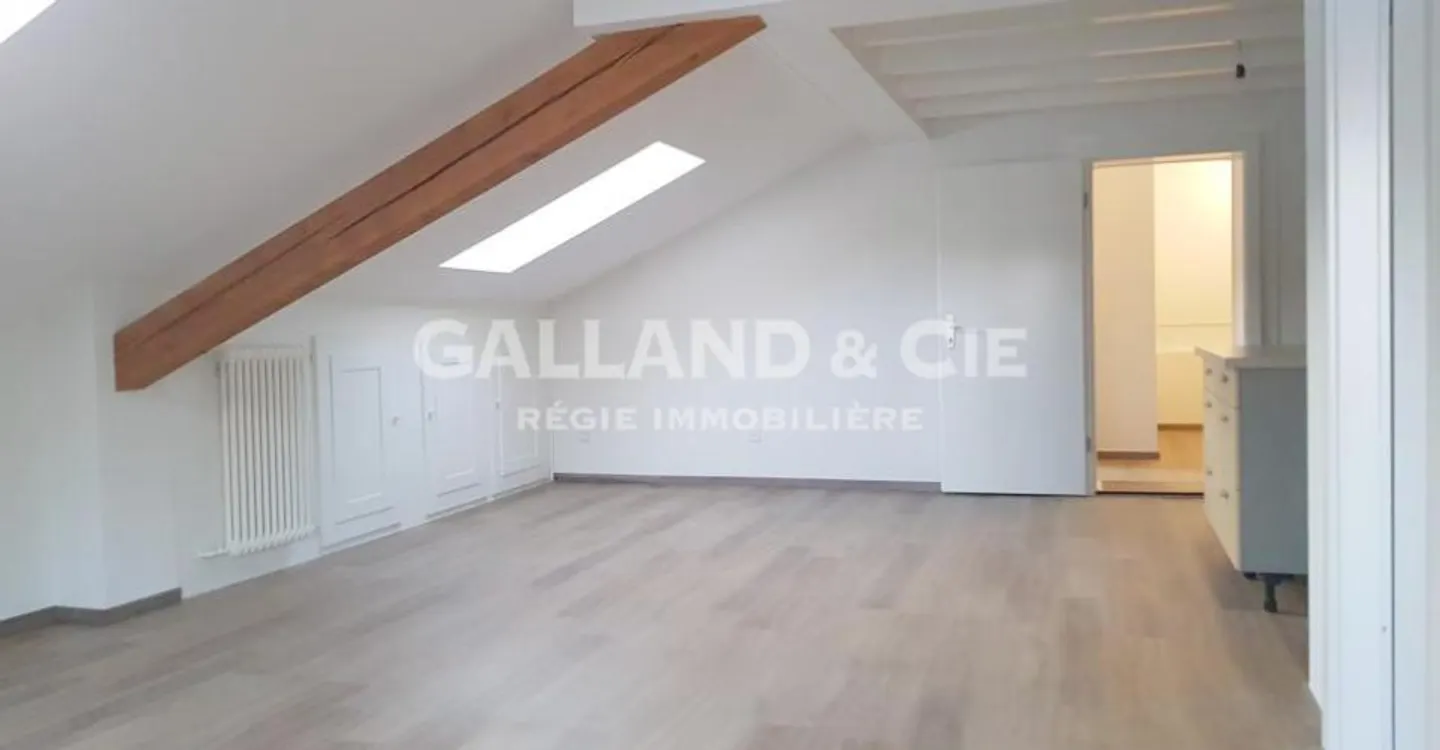 Unique Attic Apartment in Hermenches - Photo 4 of 9