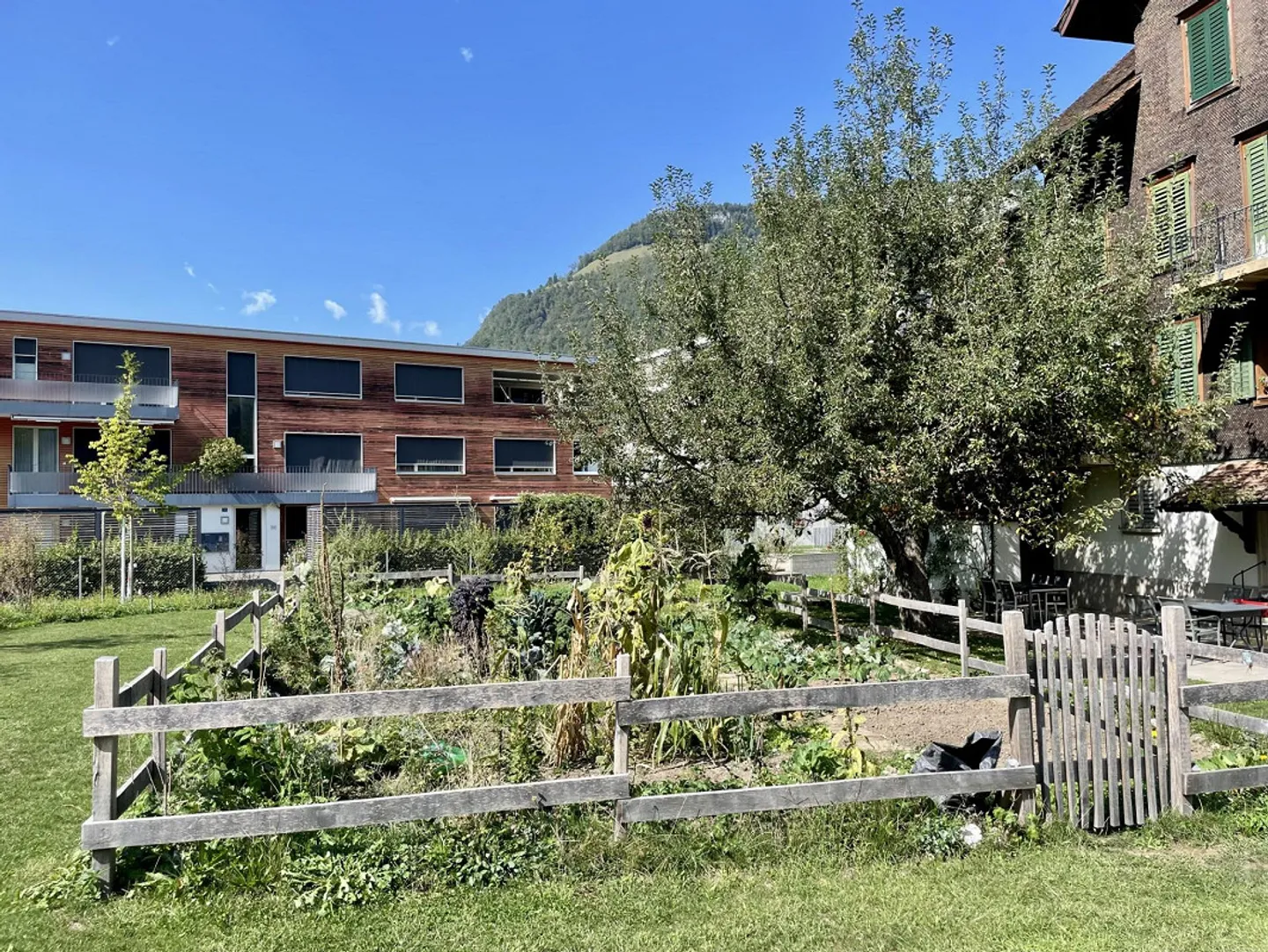 Vivre dans une maison idyllique en bois massif - Photo 19 sur 24