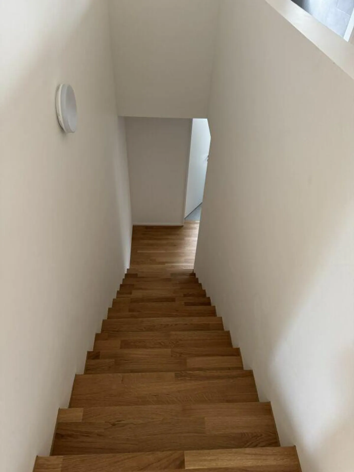 First occupancy in Pratteln - 5.5 room maisonette apartment on the ground/first floor - Photo 3 of 11