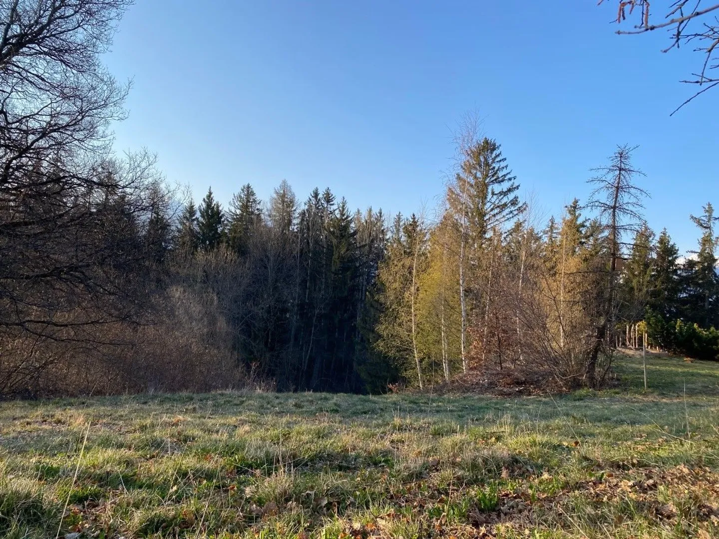 Constructible plot for sale - Photo 2 of 4