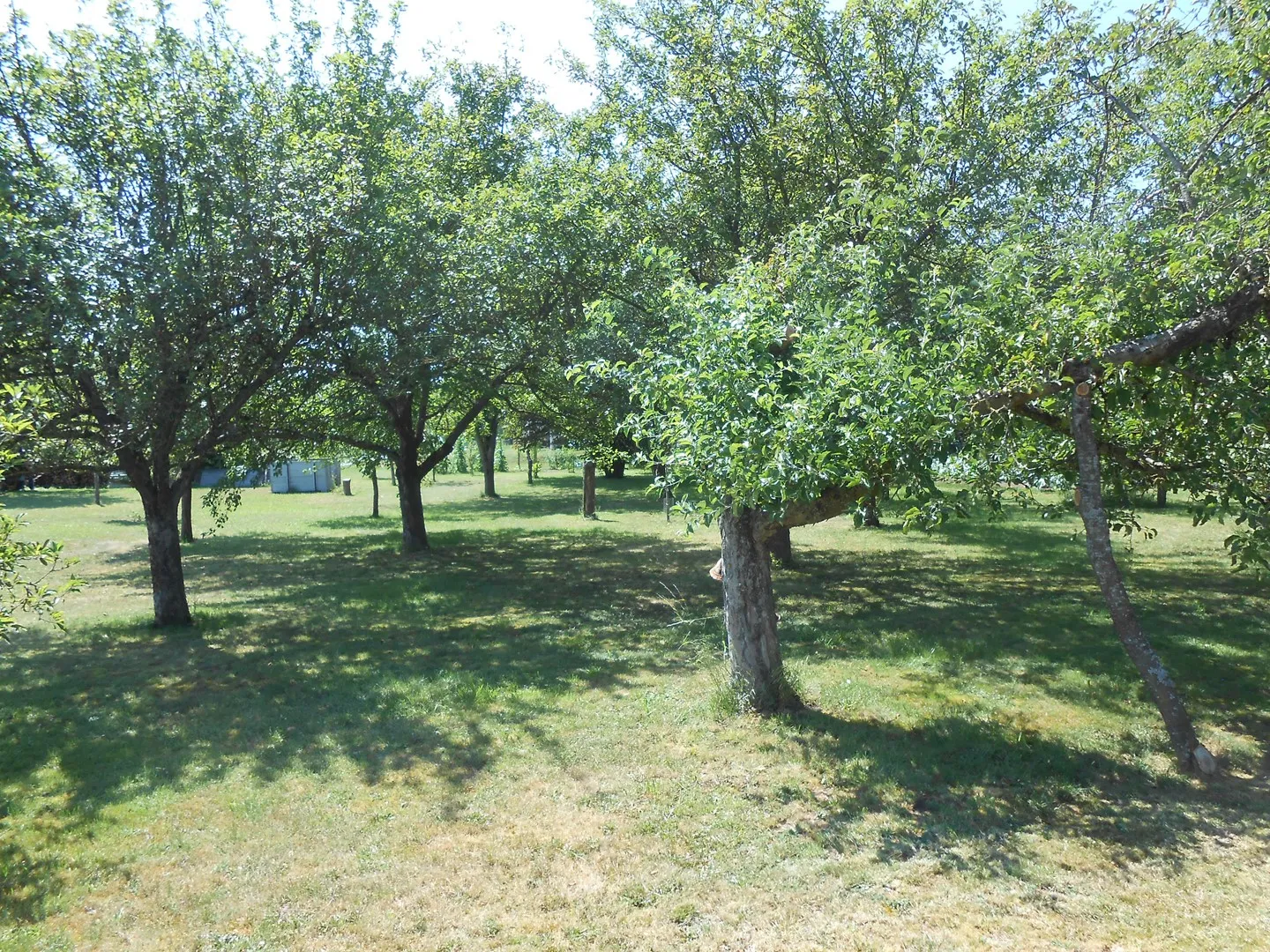 Incantevole Casa Plurifamiliare - Foto 12 di 13