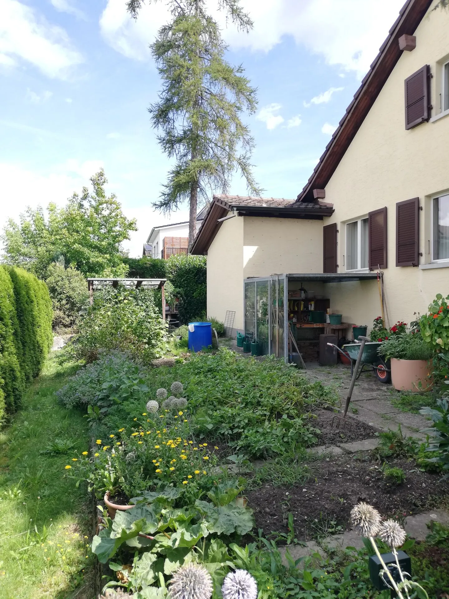 Elegante casa unifamiliare con grande giardino - Foto 19 di 21
