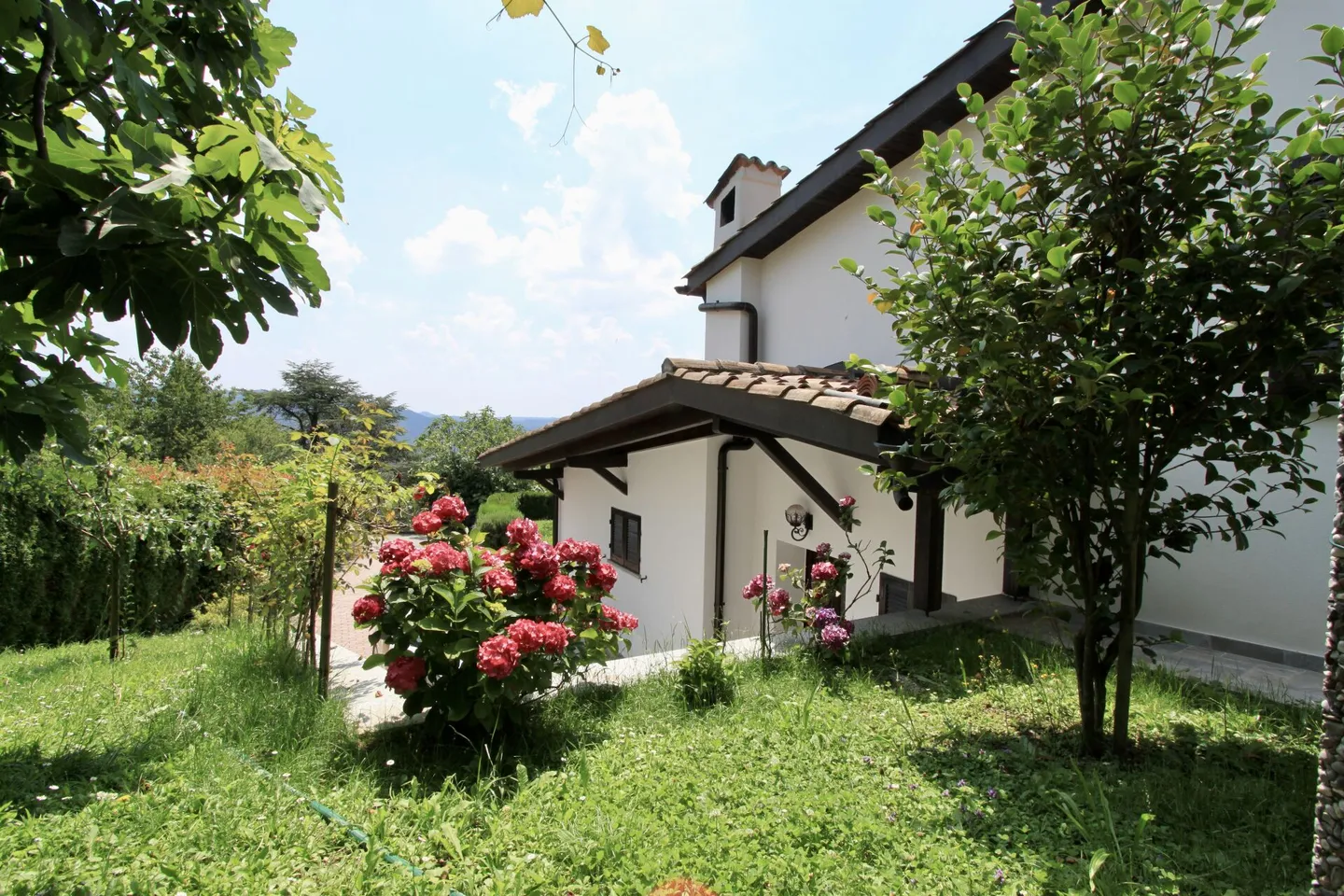 Beautiful villa with garden and open view of the vineyards - Photo 9 of 19