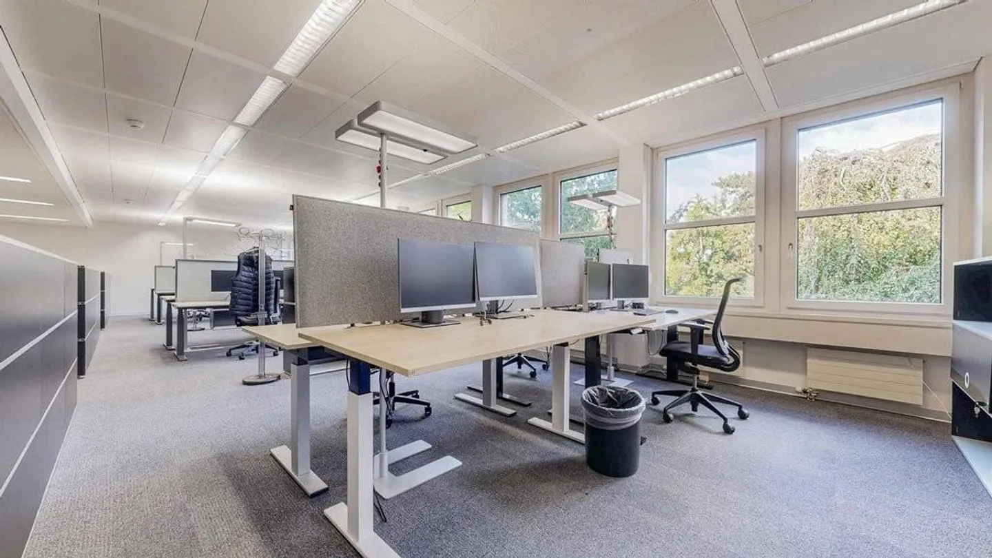 Spazi per uffici rappresentativi in una posizione privilegiata a Basilea - Foto 4 di 9