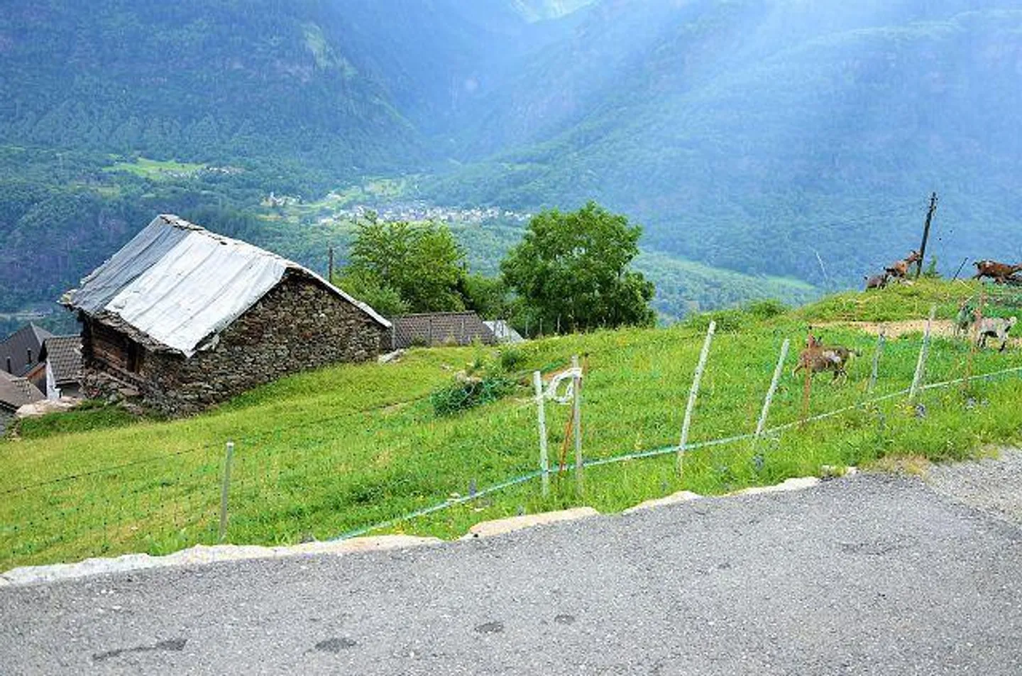 Charmant projet de rénovation à Anzonico - Photo 6 sur 25
