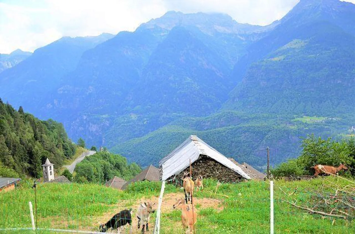 Charmant projet de rénovation à Anzonico - Photo 16 sur 25