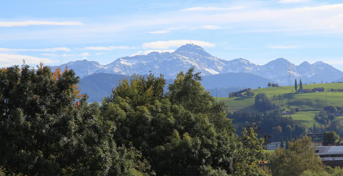 Moderne Attikawohnung in Abtwil - Foto 5 von 22