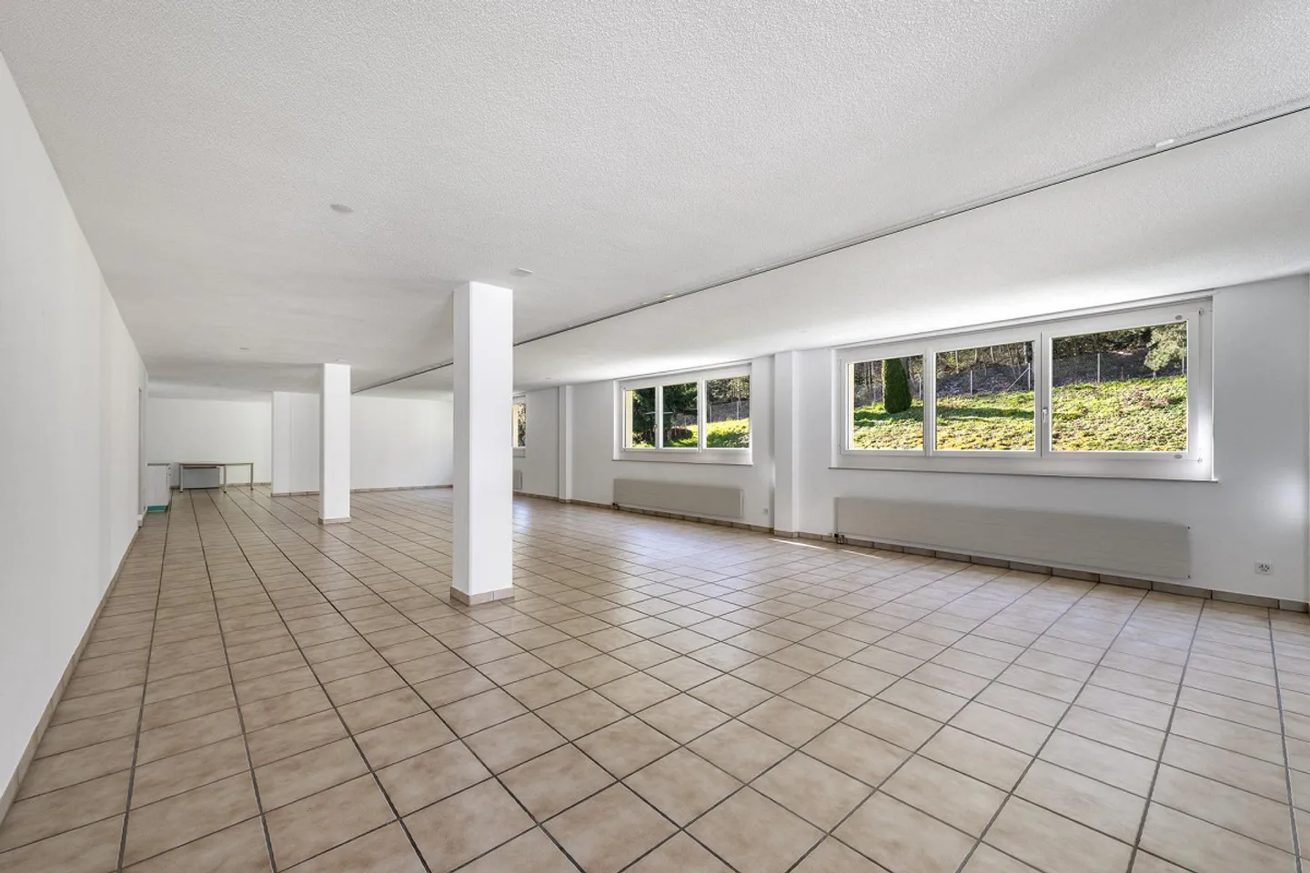 Votre nouvel espace commercial sur la rive gauche du lac de Zurich - Photo 7 sur 9