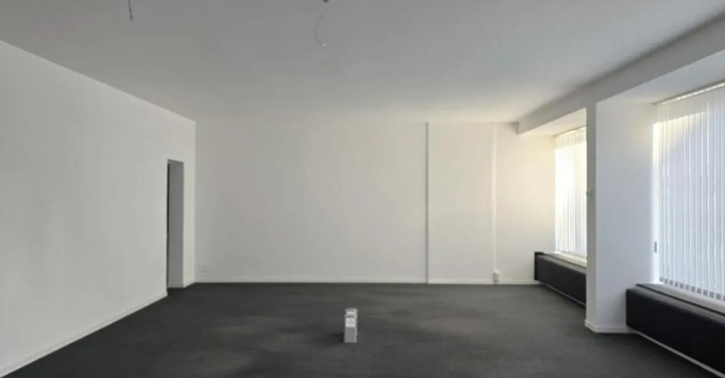 Commercial space of 163 m2 - Photo 3 of 8