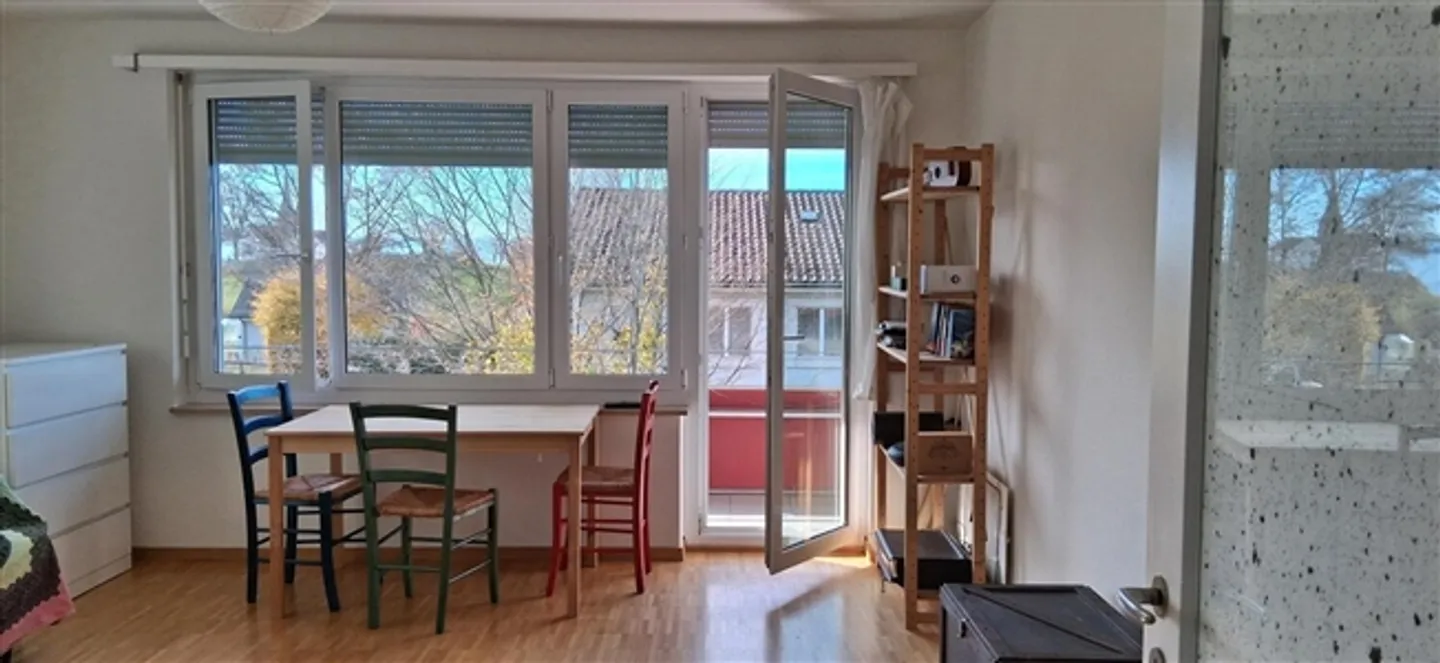 3 ROOM APARTMENT IN ZURICH - DISTRICT 7, FURNISHED, TEMPORARY - Photo 9 of 9