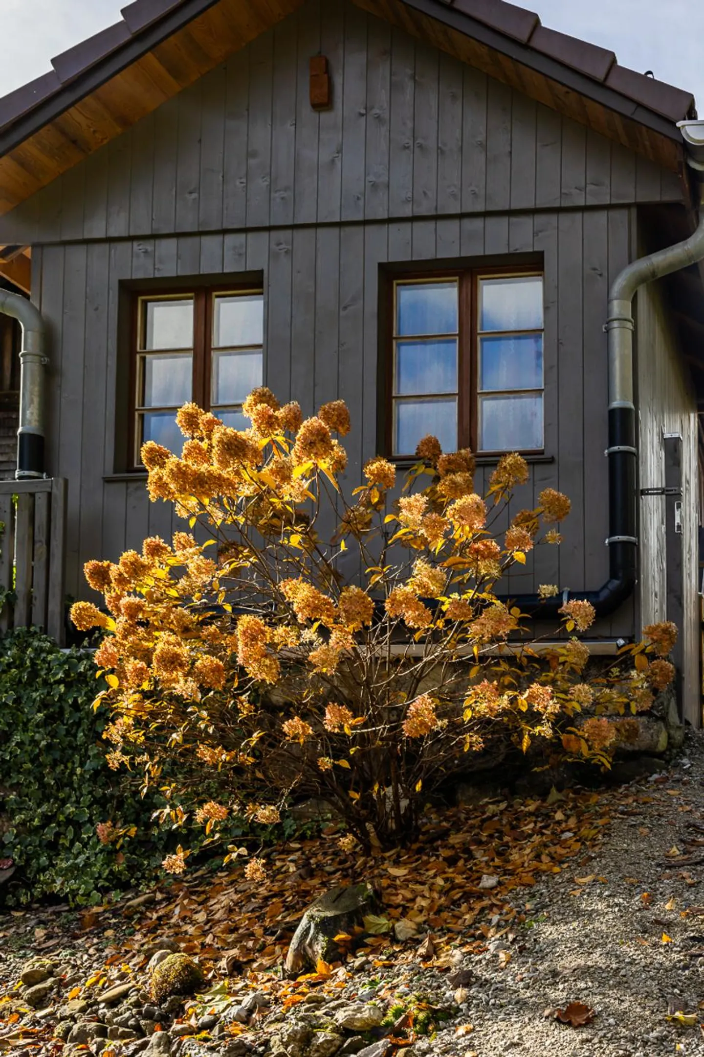 Casa con 2 appartamenti tra foreste e montagne - Foto 3 di 13