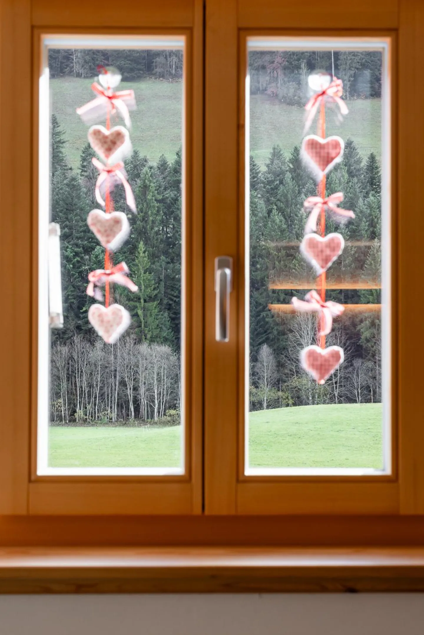 Casa con 2 appartamenti tra foreste e montagne - Foto 12 di 13